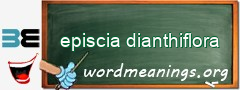 WordMeaning blackboard for episcia dianthiflora